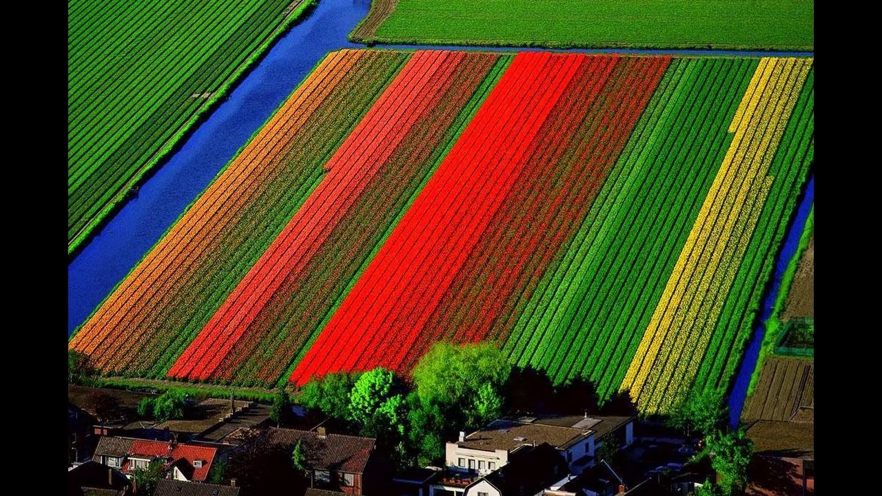 Un grand MERCI à Yann