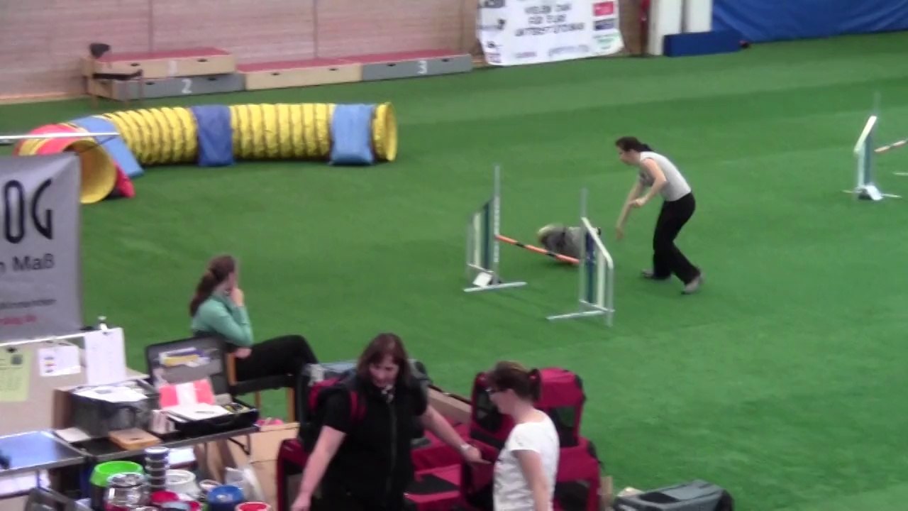 Kiwi Saargility 08./09.03.2014