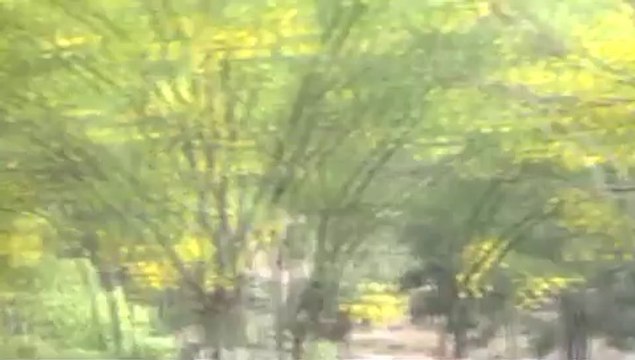 Dadyal Long drive Zahid H-D Movies Dadyal ajk zahid Gujjar azad kashmir