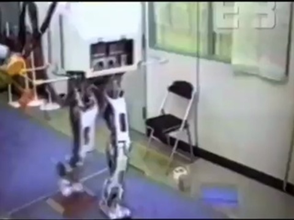 The Age of Androids