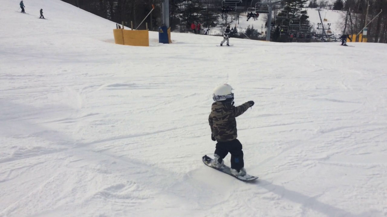 My little shred