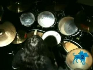 krisiun vicious wrath