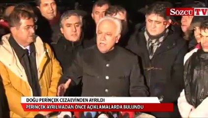 Doğu Perinçek cezaevinden ayrıldı