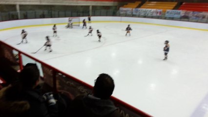 Citadels Game Vs Centennials 2014-03-01 part 3