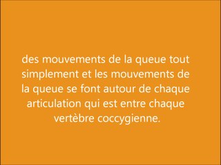 Extrait Interview Queue Tpe 2013/2014