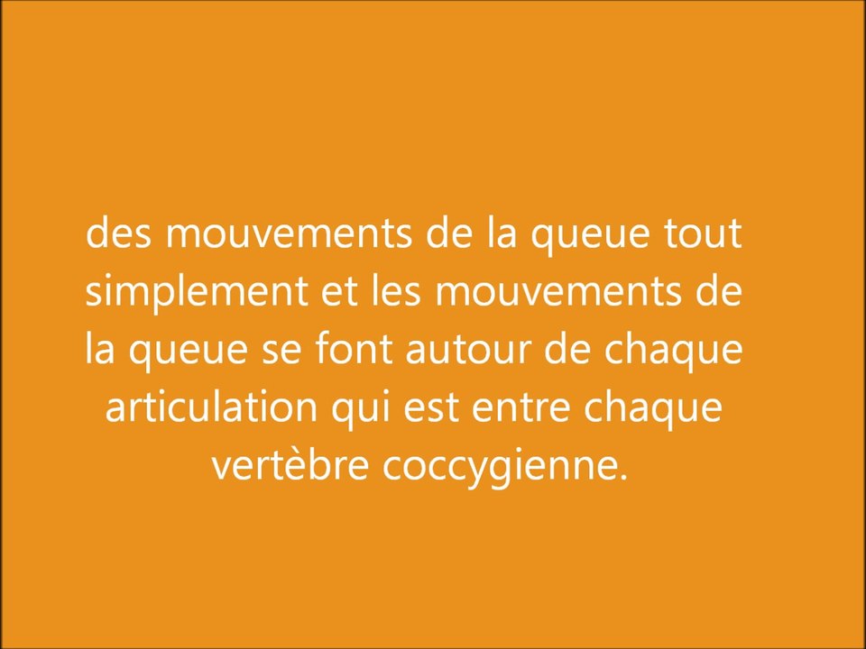 Extrait Interview Queue Tpe 2013/2014