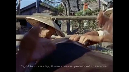 Dünyanın En Pahalı Eti - Kobe Bifteği