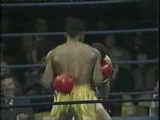 Nigel Benn vs Byron Prince 07-02-1988