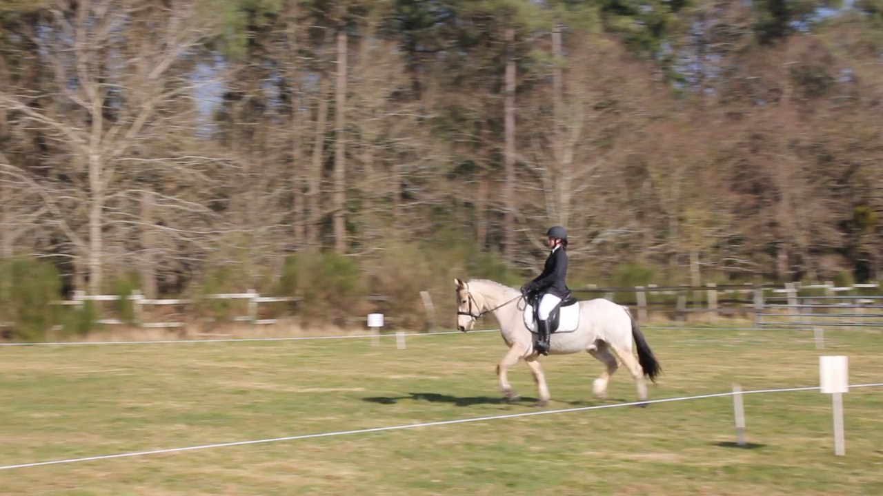Solène et Teck Dressage du CCE Beaumont Pied de boeuf AS 2 D
