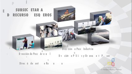 Viceministerio de Acuacultura y Pesca
