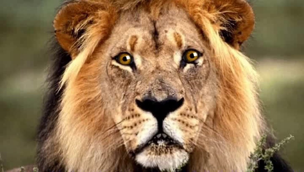 A la ronde du muguet