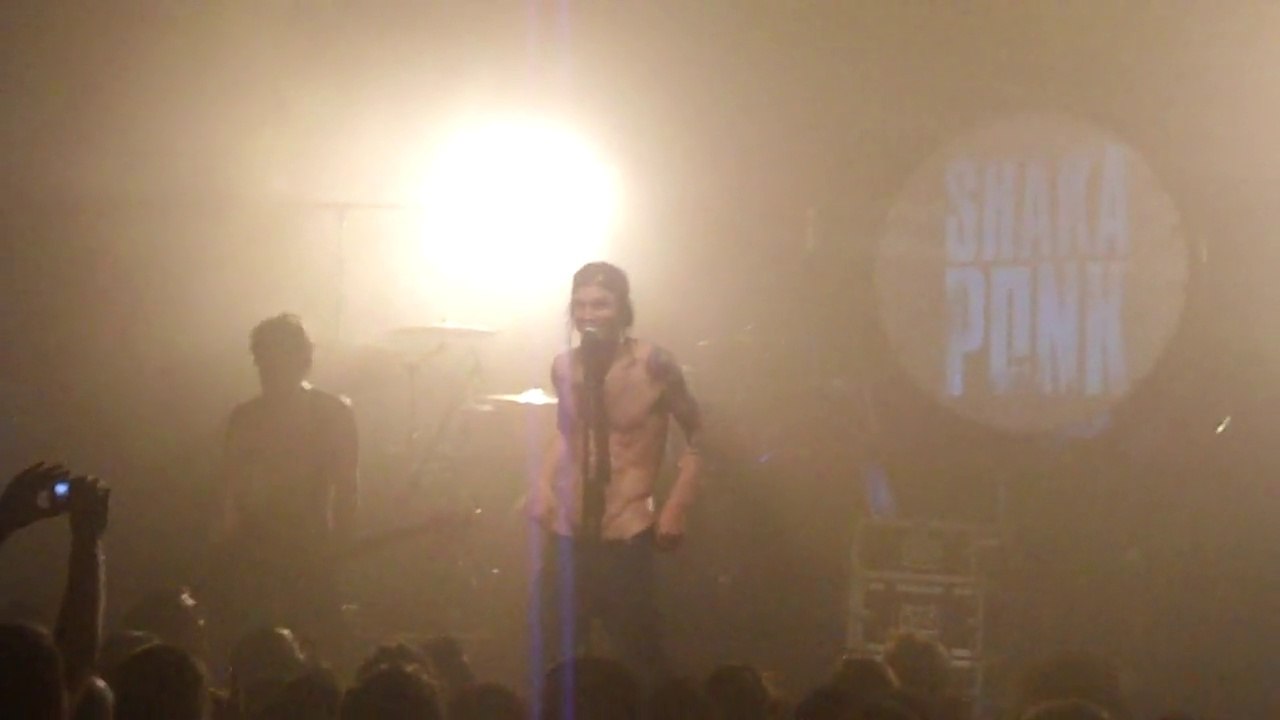 SHAKA PONK Stop the bot ? et Just the nerd au MANEGE à Lorient Mai 2010.SDC12207