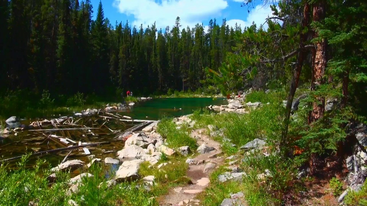 Hike to Horseshoe Lake in Jasper NP.