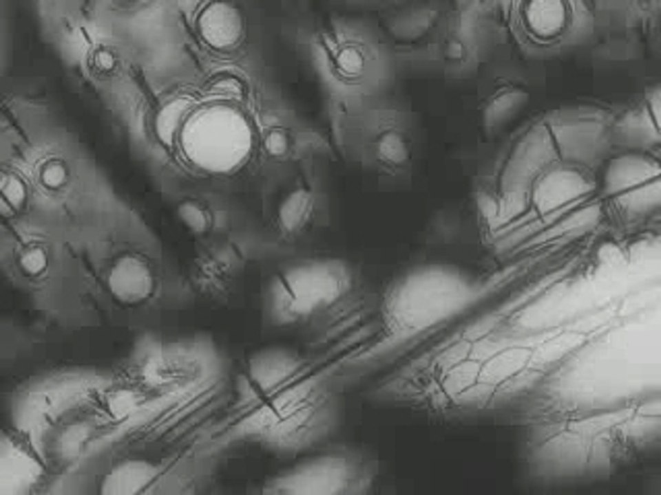 [BTPIG][POPGO][FREEWIND][GunBuster][06]