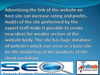 Cheap Seo Services Provided By Trafficwala.com