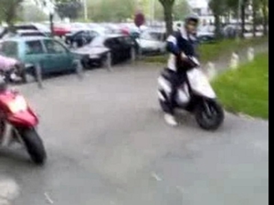 petit prés stunté bw's