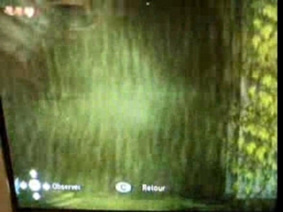 Zelda singes
