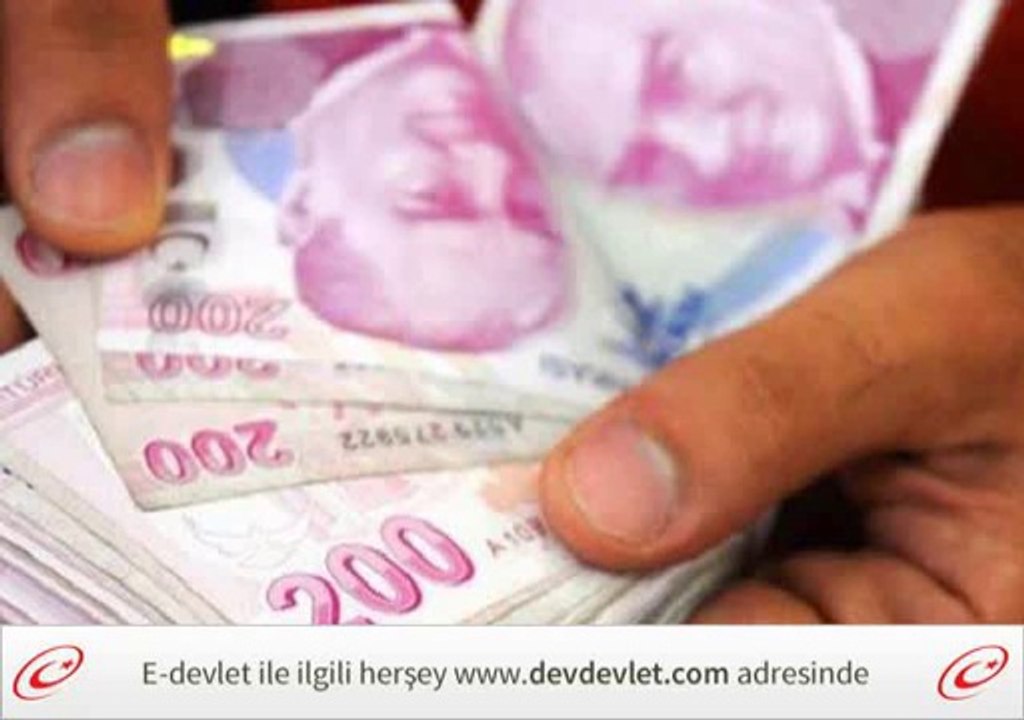 E Devlet Hizmet Sorgulama Ekranı