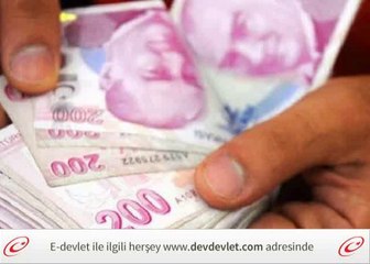 E Devlet Hizmet Sorgulaması