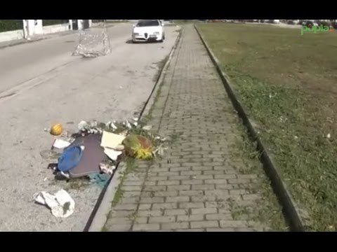 Aversa (CE) - Via Guido Rossa, erbacce rimosse ma lasciate in strada (08.03.14)