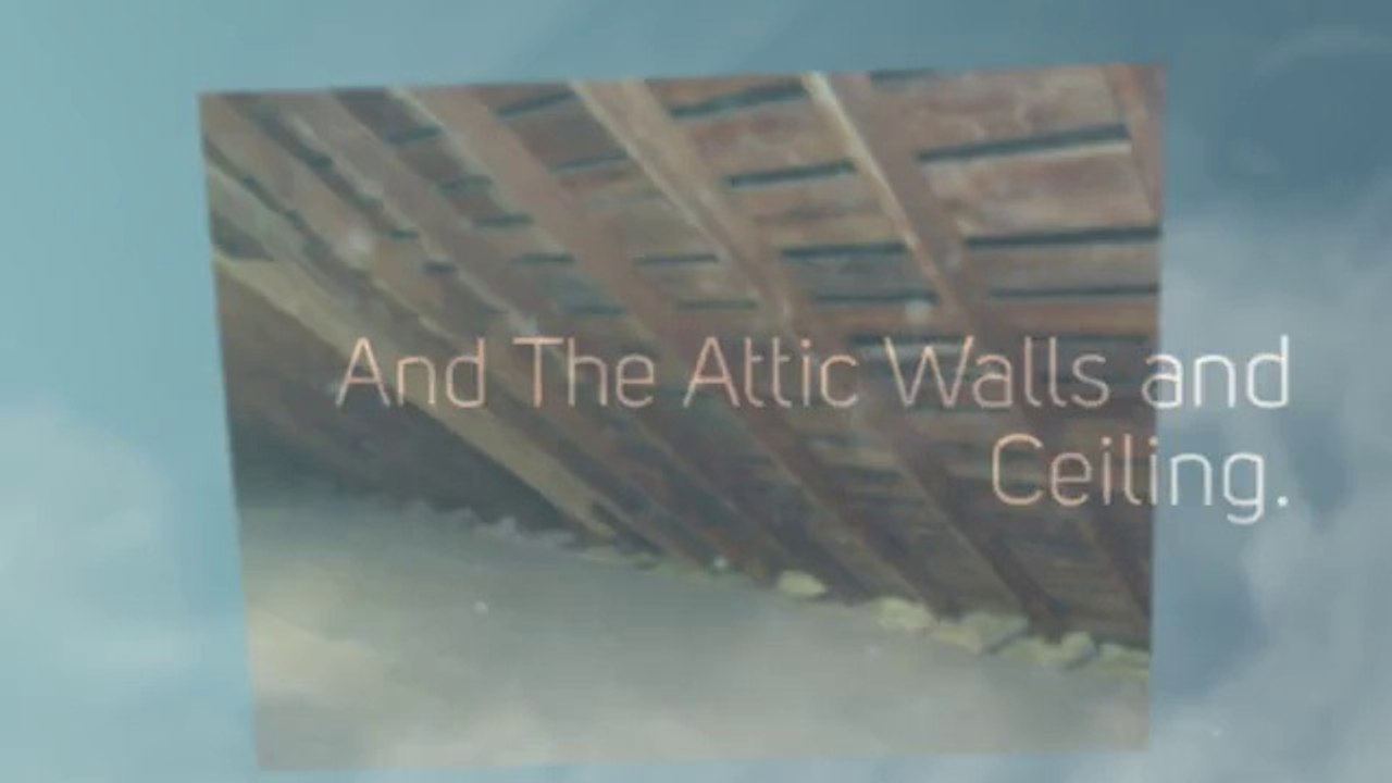 Trane Split System in Lexington - Fayette (Sealing Leaks).