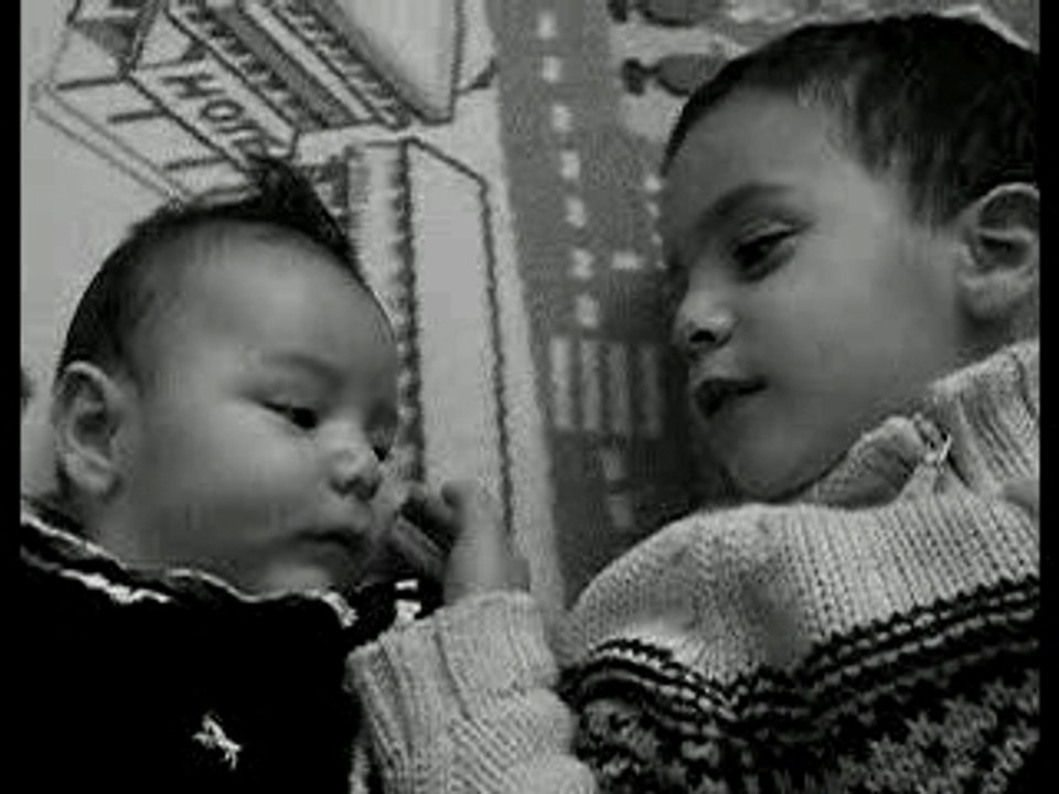 Mes loulous(2)