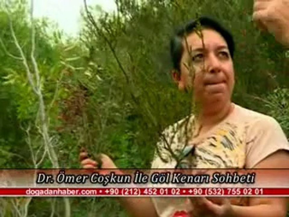 BİTKİSEL ÜRÜNLERLE KESİN ÇÖZÜM!