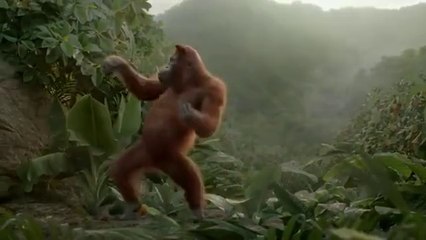 Power Solutions & Engineering Funny