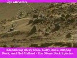 36 FAKE Pics ANIMAL Mars Rover FRAUD Mining Machinery Golden Breaking News OMG Feb 19 2014