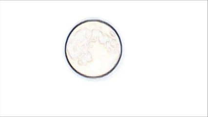 Multiple UFOs Move Across The Moon  12 October 2011