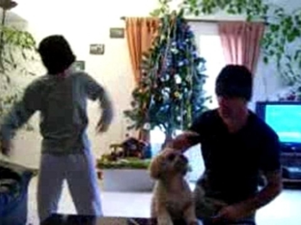 danse matinale