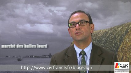 Colza : Un marché complexe par Thierry Lemaître