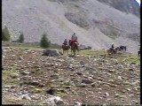 Tre giorni a cavallo in alta quota nella Val Susa