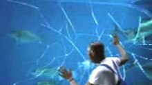 Yellow Pages Commercial Video