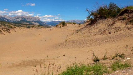 Sand Dunes in Jasper NP.