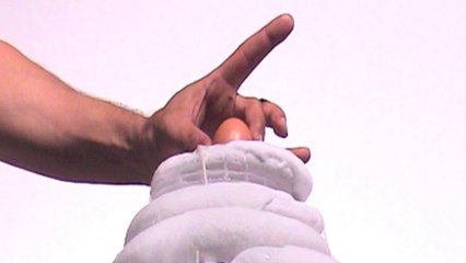 l' oeuf binauriculaire Thierry MATHELIN avec Eric RUF