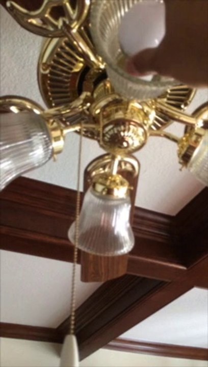 Yellow Bulbs
