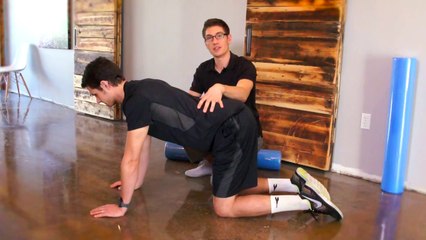 Quadruped Single Leg Exercise Demo