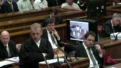 Friend says Pistorius had 'big love' for guns