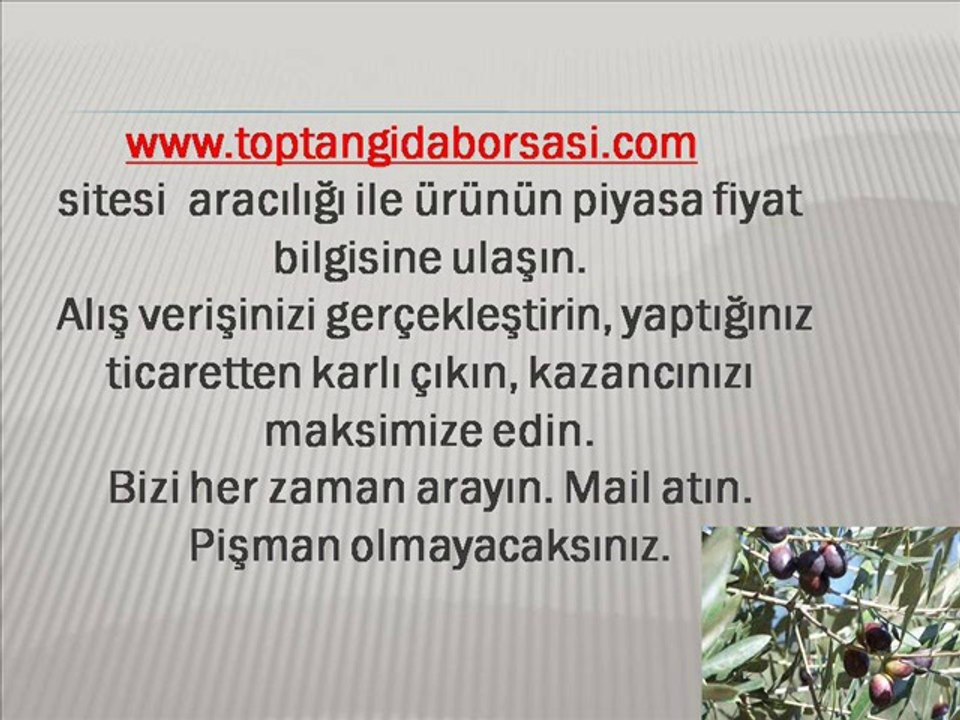 Toptan Zeytin Satanlar,Toptan Zeytin Satışı,Zeytin Satışı,Toptan Satış,Toptan Zeytin Alanlar