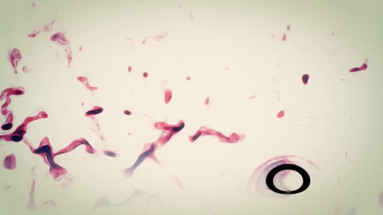 Audio React #12 [Template] [Vent] [Sick :)]