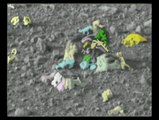 30 Mars Rover 120 !! Labelled 100% proof BONES Pics Fake NV not Alien UFO nasa Feb 17 2014