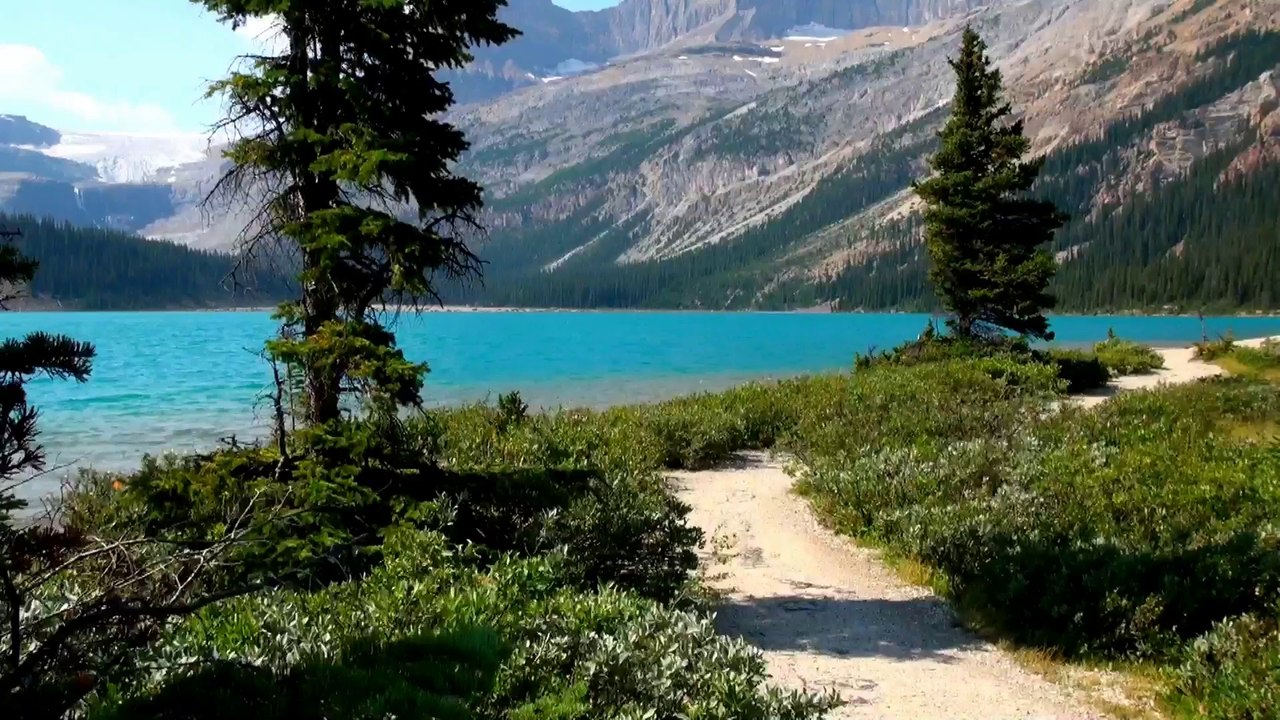 Lodge on the Bow Lake.