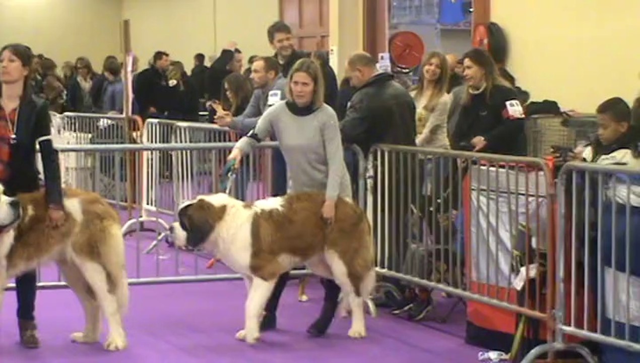 Valence 2014 CJ Mâles PL