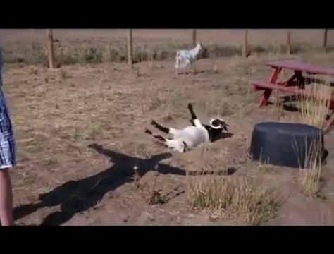 27 Mars Nasa Hoax Rover Photos Pics Mission Curiosity Program Fake Nevada Mojave Desert Area 2014