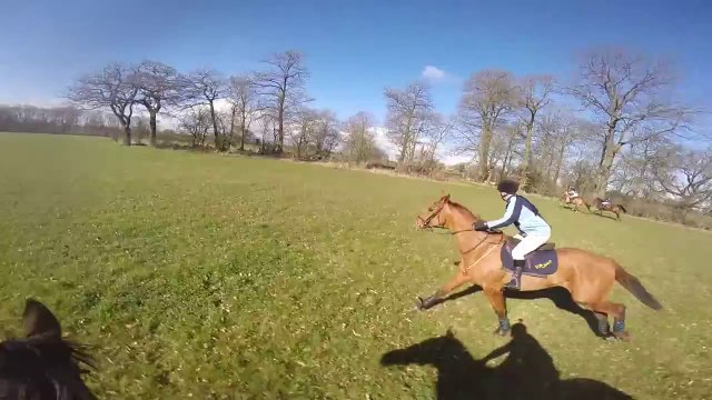 Thrilling Cross-Country Horse Race