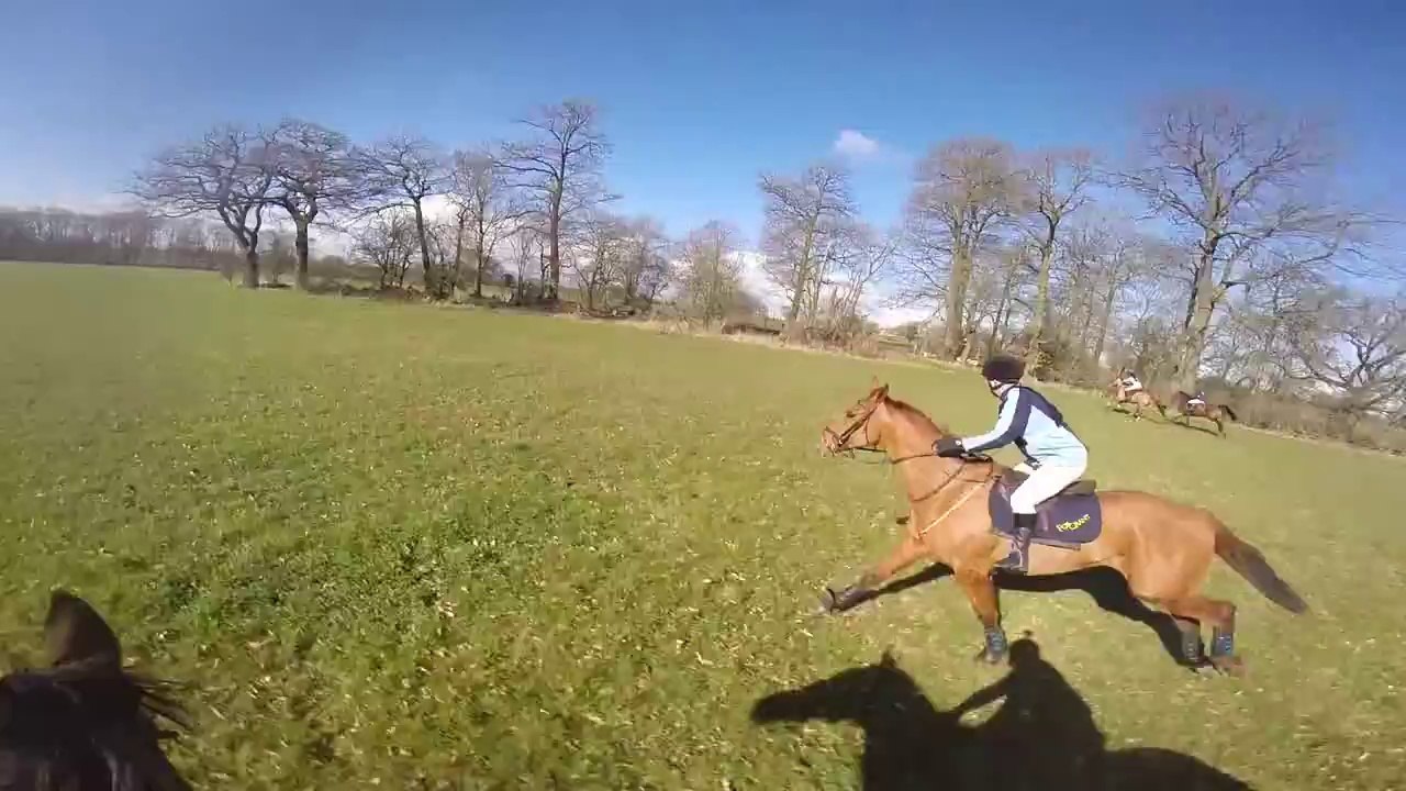 Thrilling Cross-Country Horse Race