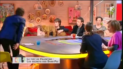 CCVB avec Stéphane BERN - Chronique de Valentine sur les shar-peïs avec MC COUJOU