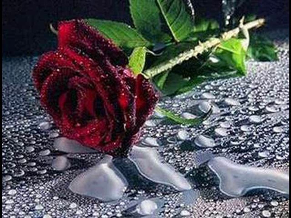 DJ-Türkiye - Haram Geceler (Siir) 2014 YeNi