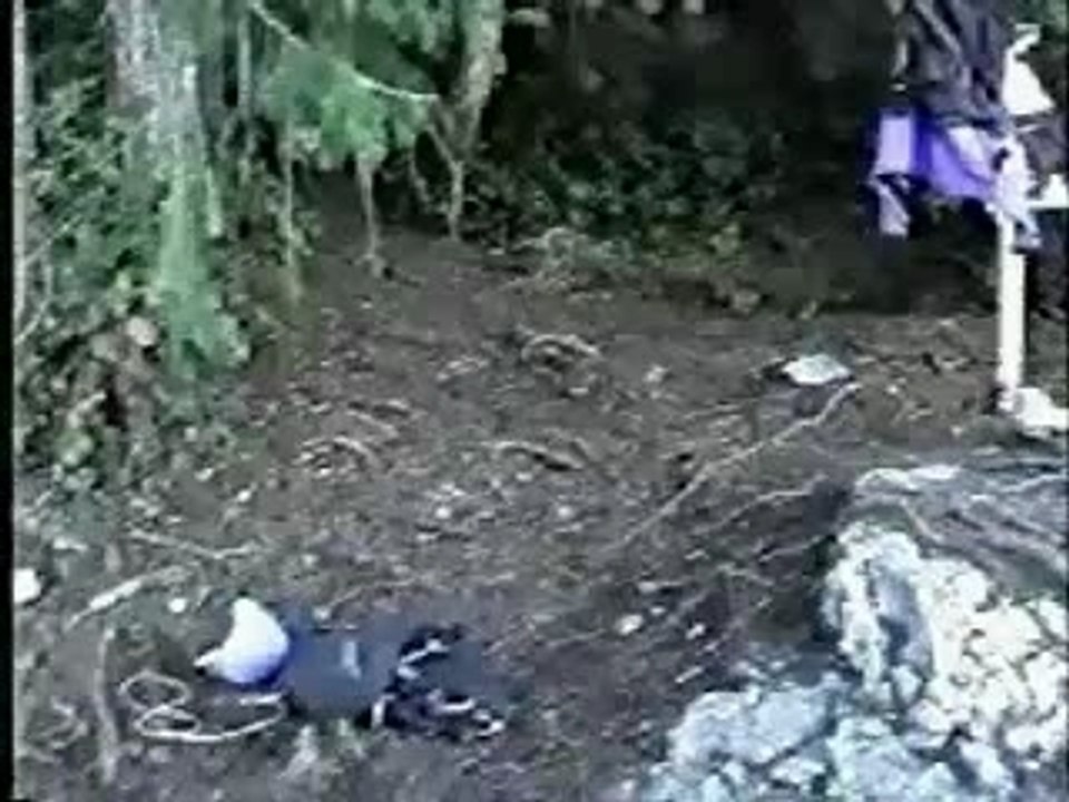 cartwheel